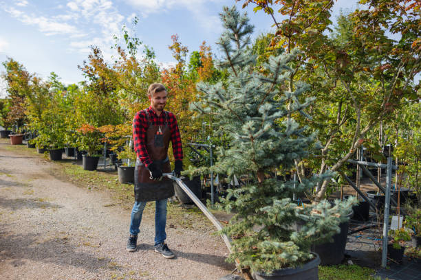 Lawn Maintenance Plans in Ocean Grove, MA